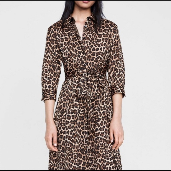 Zara Animal Print Dress - Picture 5 of 8
